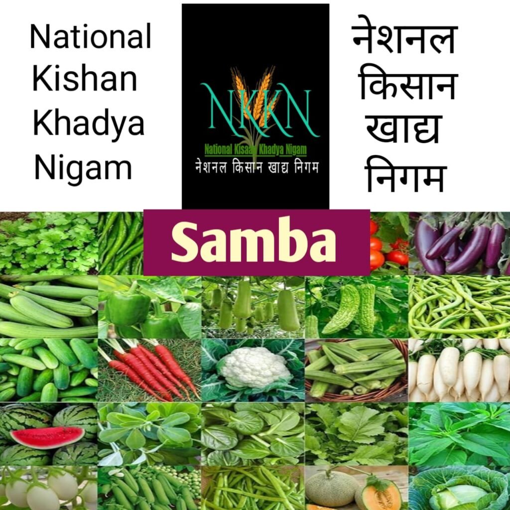 NKKN: National Kisaan Khadya Nigam Processing Unit in Samba District of Jammu