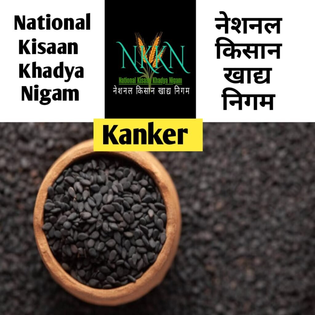 NKKN: National Kisaan Khadya Nigam Processing Unit in Kanker District CHHATTISGARH